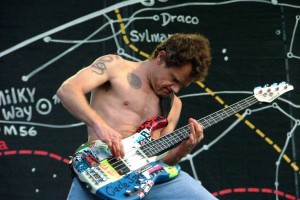 flea